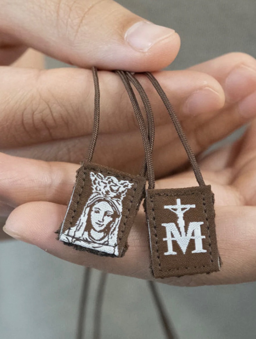 thattradgal's tweet photo. Do you wear the brown scapular? https://t.co/6AFEuqYsMm