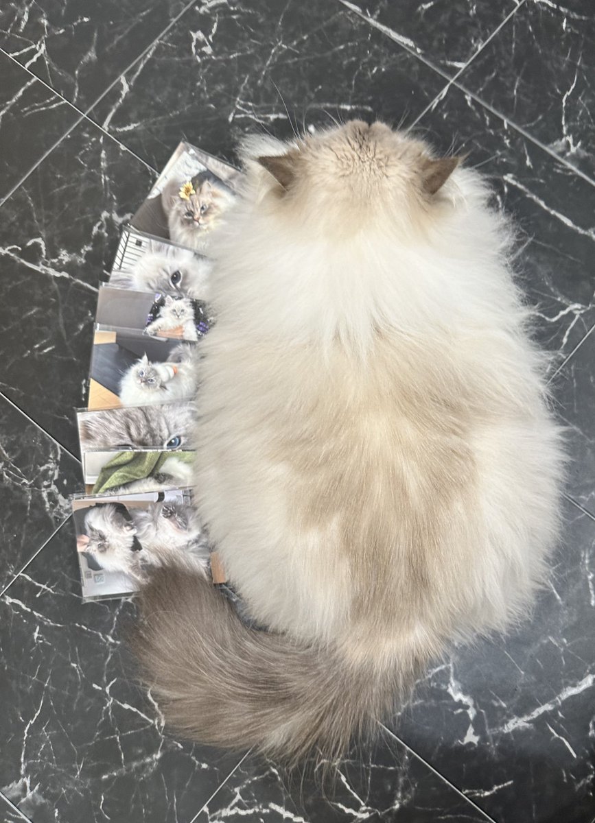 依洛 (@zoro3321) / Posts / X