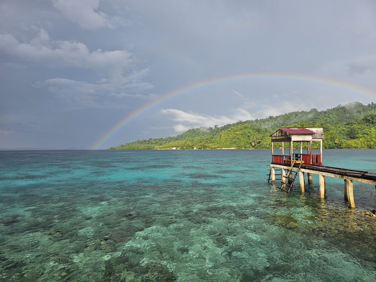 From Sulawesi 🇮🇩 Sans doute l'un de mes plus beaux voyages jusque là !

Pas un jour ne passe sans que je pense à ma jolie communauté, c'est compliqué de streamer ici mais je ne vous oublie pas 💛