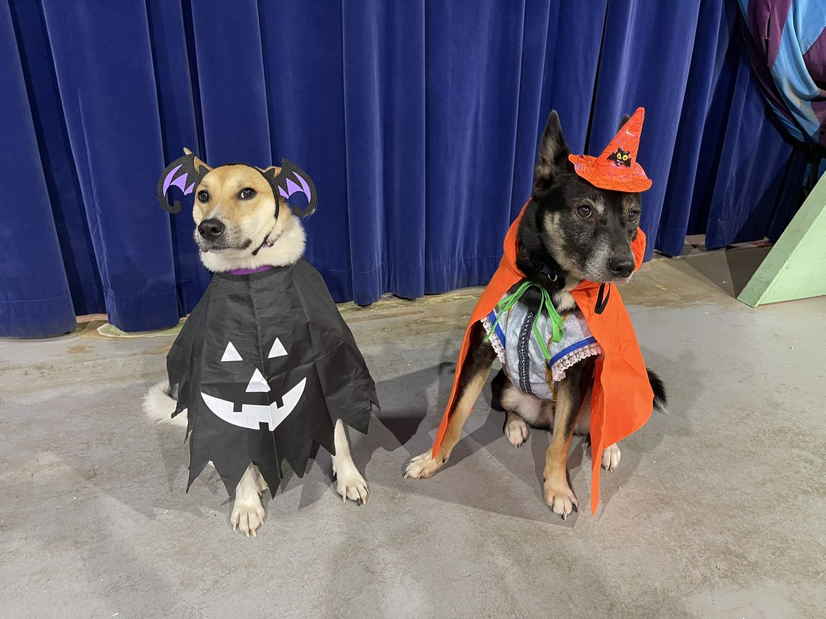 ZASH (@ZASH91999804) / Posts / X