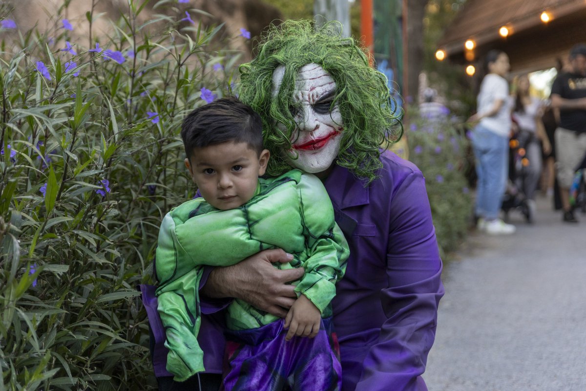 🎃 BATZ Night 1 was so much fun! 🎃
Couldn't make it out tonight? Don't worry.
We'll be doing it again tomorrow! 👻

#BooattheZoo #BATZ2025 #GPZoo #Halloween #trickortreat