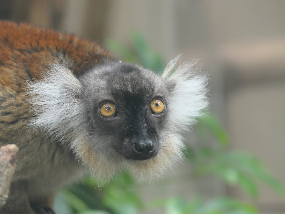 G4jnBHtawAAjLh2.jpg?format=jpg