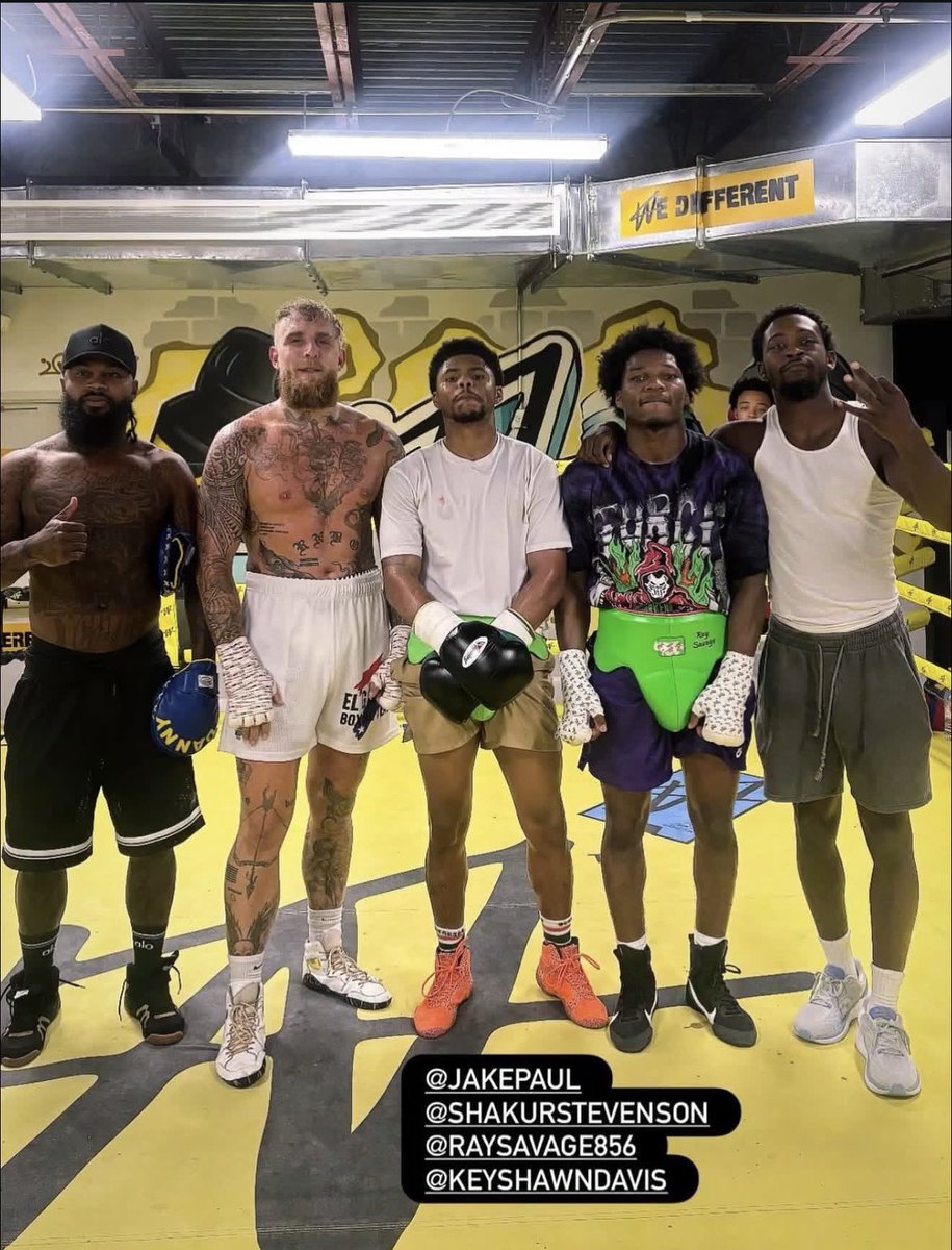 Jake Paul forming the avengers to beat Tank 🤣