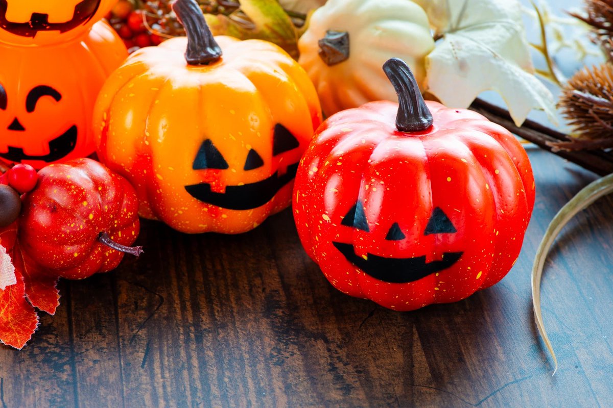 <a href="/niwaigri/">すみれ　ゆっくりマイペース</a> <a href="/kamiyu0710/">ミラクル・ヤン＠怪物くんのサード垢(o*。_。)oペコッ</a> おはようございます☀️.°
ありがとう(  . .)"
良き一日になりますようにヽ(´▽｀)/
ヨロシクです♪d(*'-^*)b♪
👻🎃HappyHalloween🎃👻