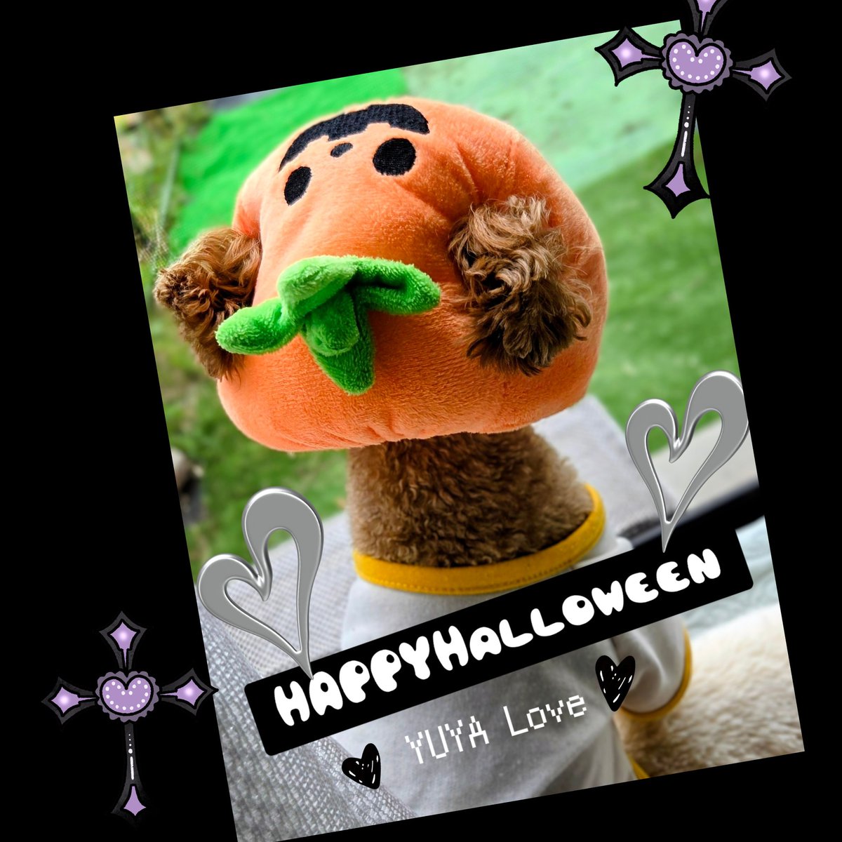 🐝ま～りん🍯 on X