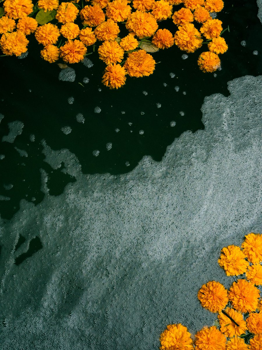 Mexico City - Details and Textures