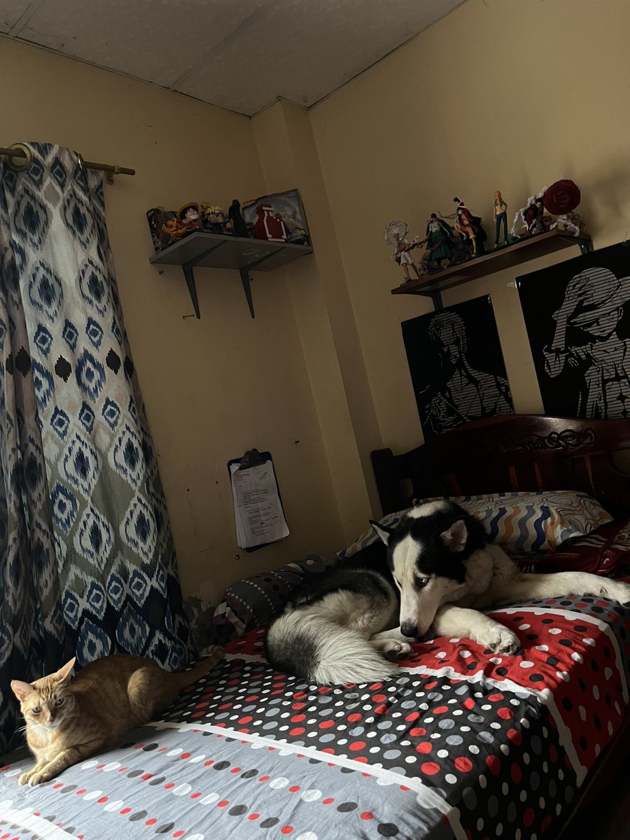 Bryannnn tweet media