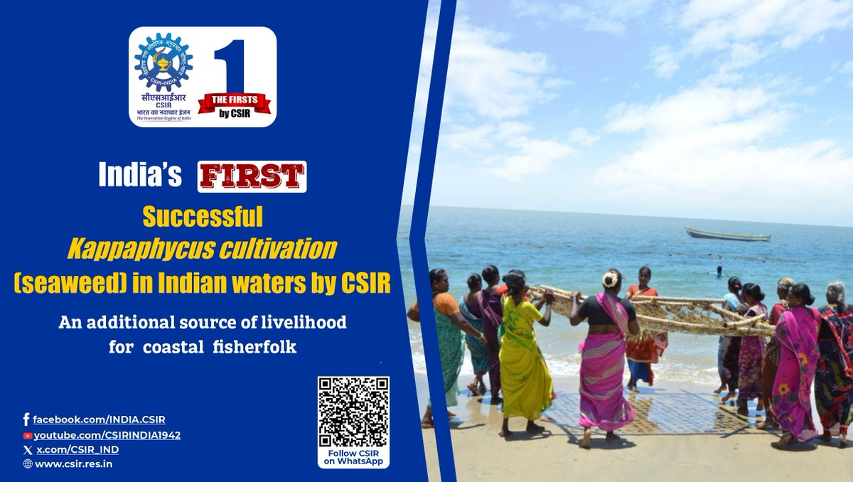 CSIR_IND's tweet image. India’s FIRST successful Kappaphycus (seaweed) cultivation in Indian waters by @CSIRCSMCRI1 !
A sustainable innovation providing an additional source of livelihood for coastal fisherfolk while boosting the blue economy.
@DrJitendraSingh #BlueEconomy #Seaweed #Sustainability…