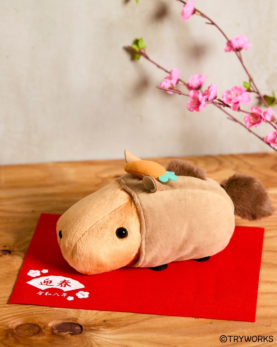 セキグチ公式オンラインショップ (@sekiguchi1918) / Posts / X