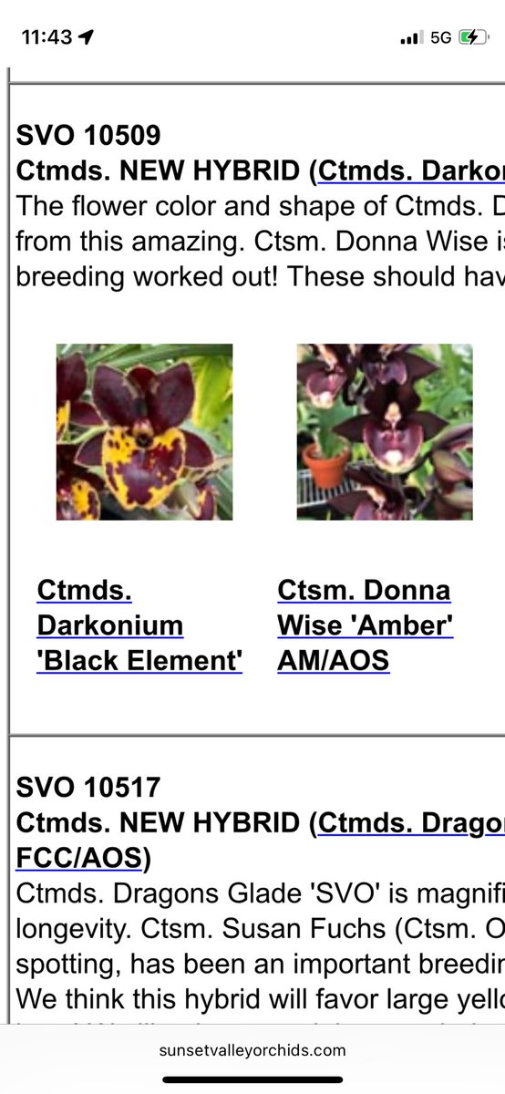 北条早雲@タケノコ蘭沼 on X