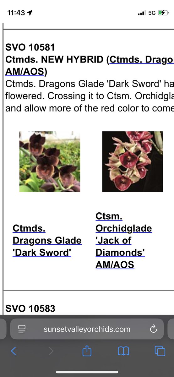 北条早雲@タケノコ蘭沼 on X