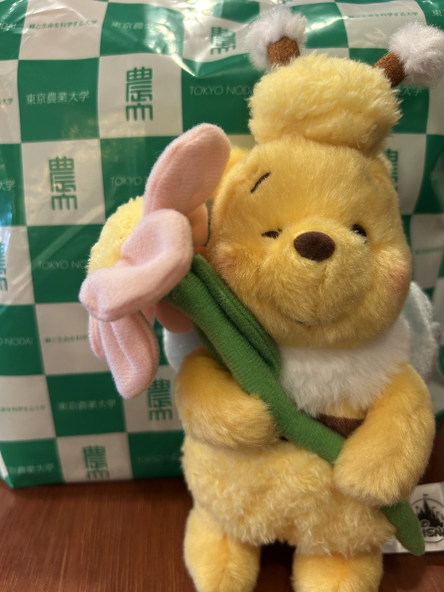 オーダー受付パネル♡いちごハウスのポメラニアン❤︎レアパネル オーダー受付パネル♡いちごハウスのポメラニアン❤︎レアパネル