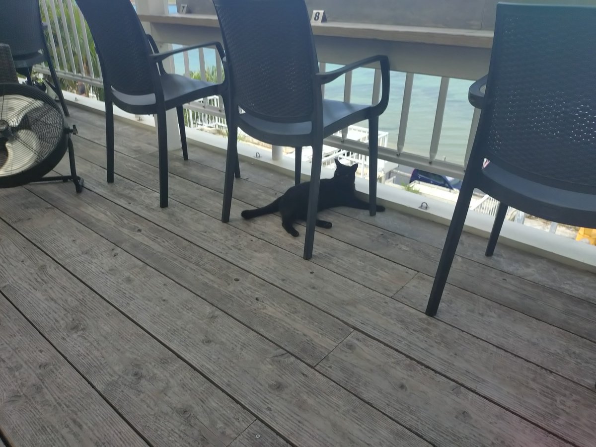 ま (@ssy614) / Posts / X