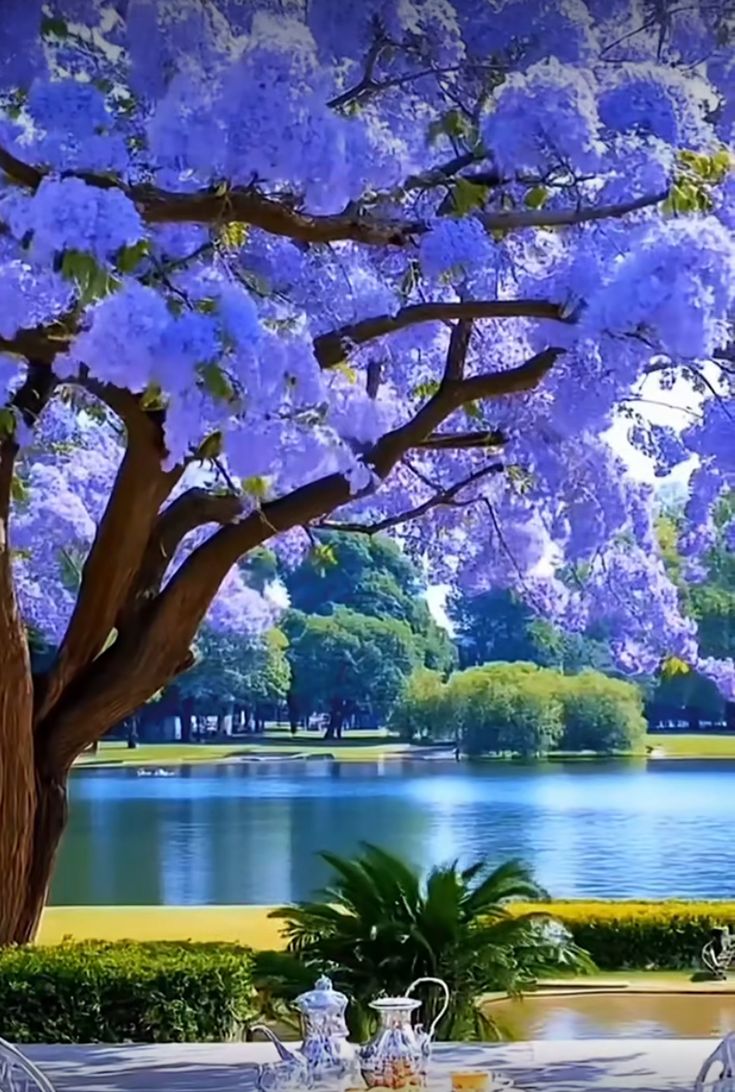 Have a blessed Friday, and increase the blessing by acts of kindness