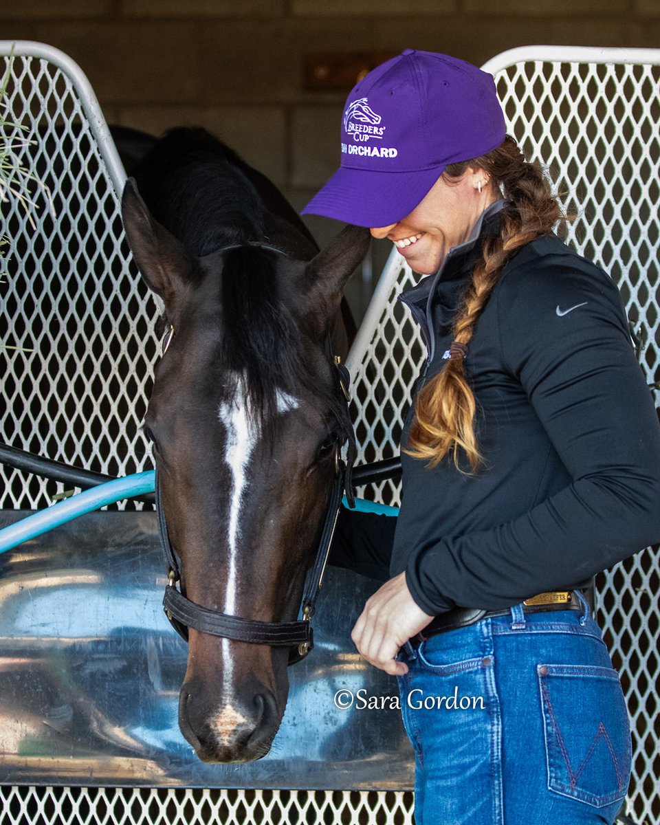 theTDN's tweet photo. Happy Breeders’ Cup Eve ☀️ #BC25 

The weekend we’ve all been waiting for: the 2025 Breeders’ Cup World Championships at Del Mar. It all kicks off Friday, Oct. 31 with the Future Stars Friday card, highlighting the top-tier 2-year-olds whose talents span the globe 🌎 

Some of the contenders you’ll see Friday: 

🌟 BRANT - GI Juvenile
Trainer: Bob Baffert

🌟 TED NOFFEY - GI Juvenile
Trainer: Todd Pletcher

🌟 IRON ORCHARD - GI Juvenile Fillies 
Trainer: Danny Gargan

🌟 LENNILU - GI Juvenile Turf Sprint
Trainer: Patrick Biancone