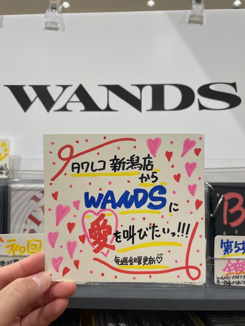 WANDS 下敷き 楽天市場】A4サイズ やわカタ下敷き 裏表で書き心地が切り替え
