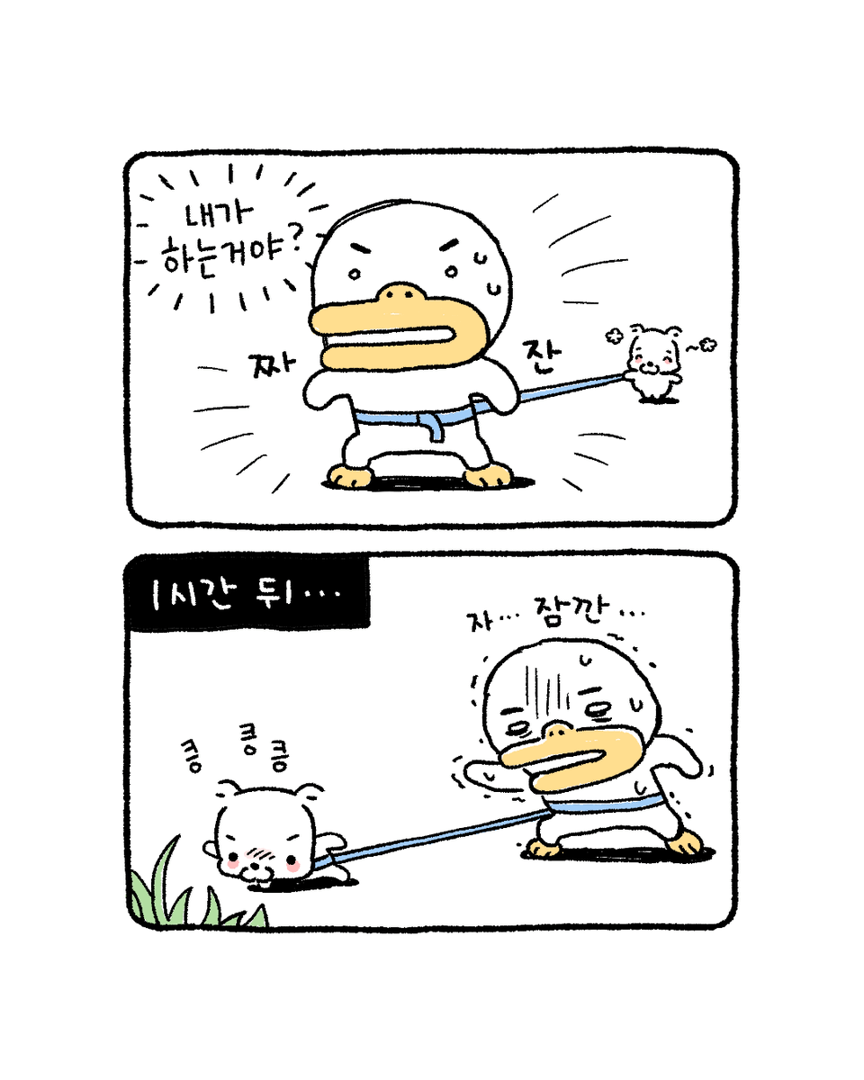 복심이 다이어리 tweet media