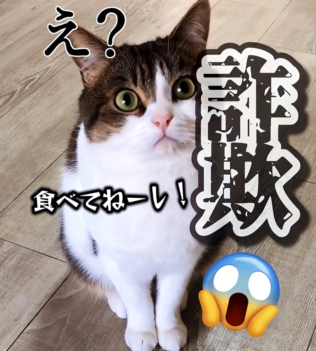 猫さん PUMA】 プーマ NRGY NEKO ENGINEER KNIT NRGYネコ エンジニアー