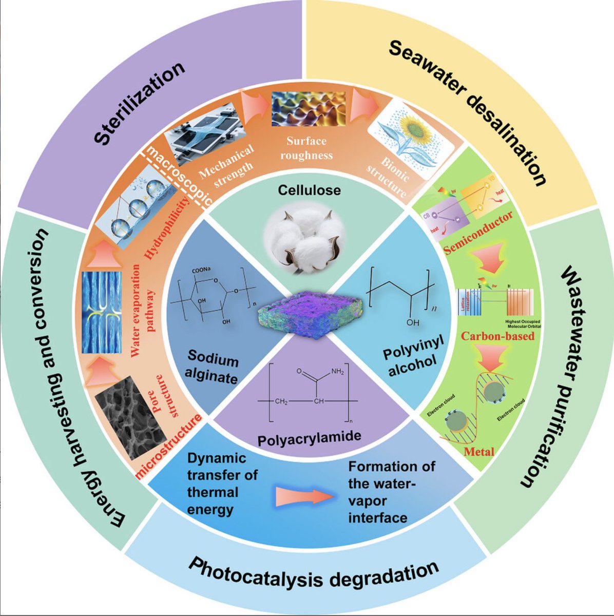 Advances in Hydrogel-Based Photothermal Interfacial Solar Steam Generation: Classifications, Mechanisms, and Applications
doi.org/10.1002/adfm.2…