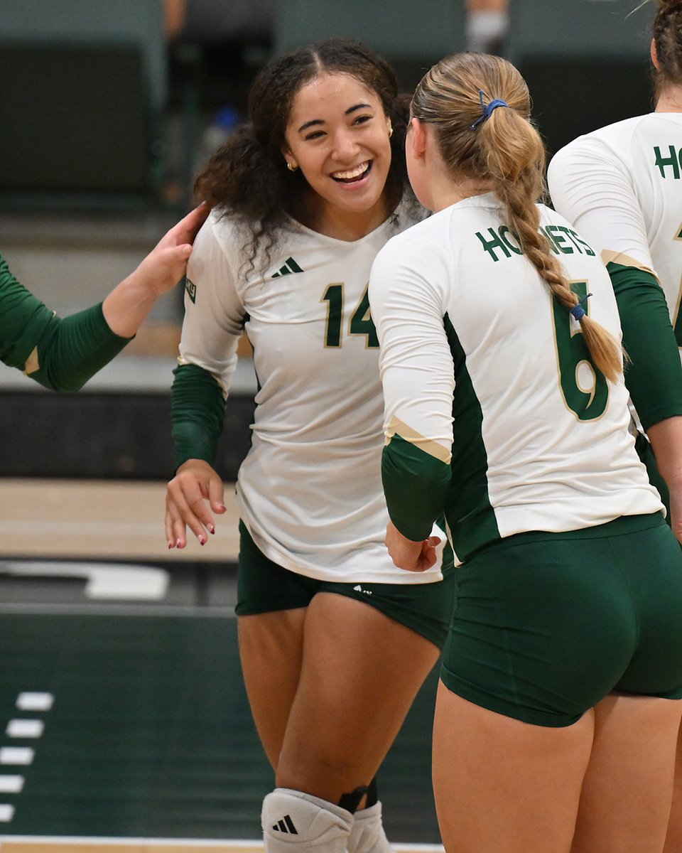 Sacramento State Volleyball tweet media