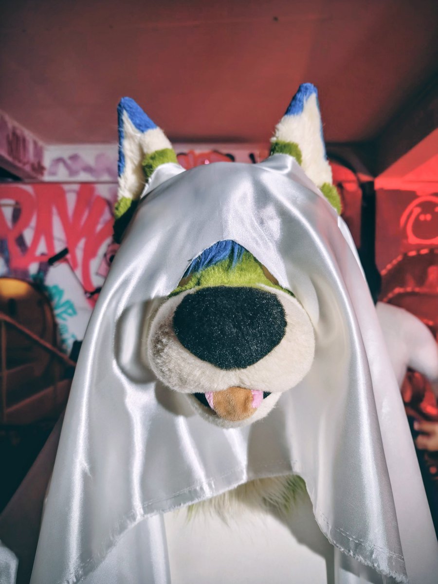 Boo! 
#FursuitFriday