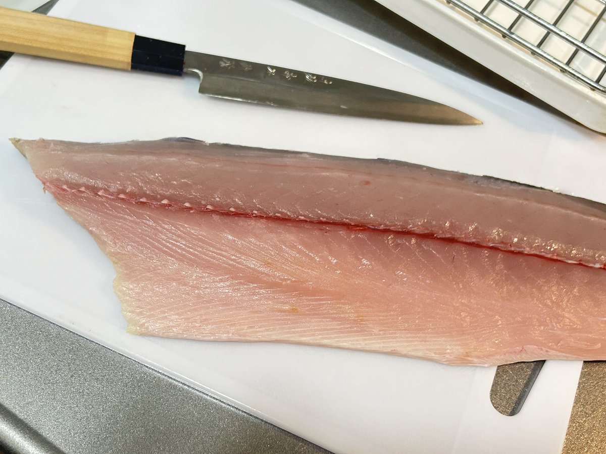 先週釣れたサワラえぐい…