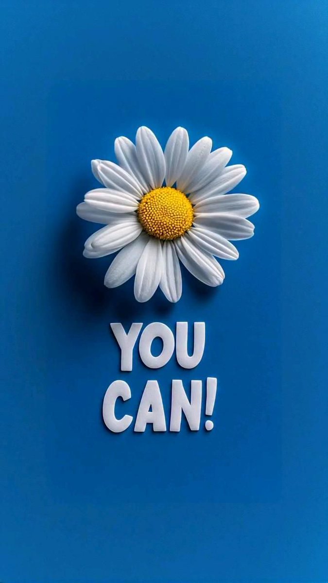 POSITIVITY (@positivitysaid) on Twitter photo 