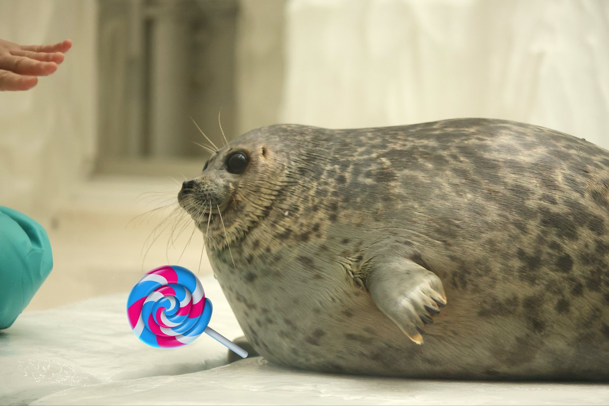 りりこ🦆 (@jewelilico) / Posts / X