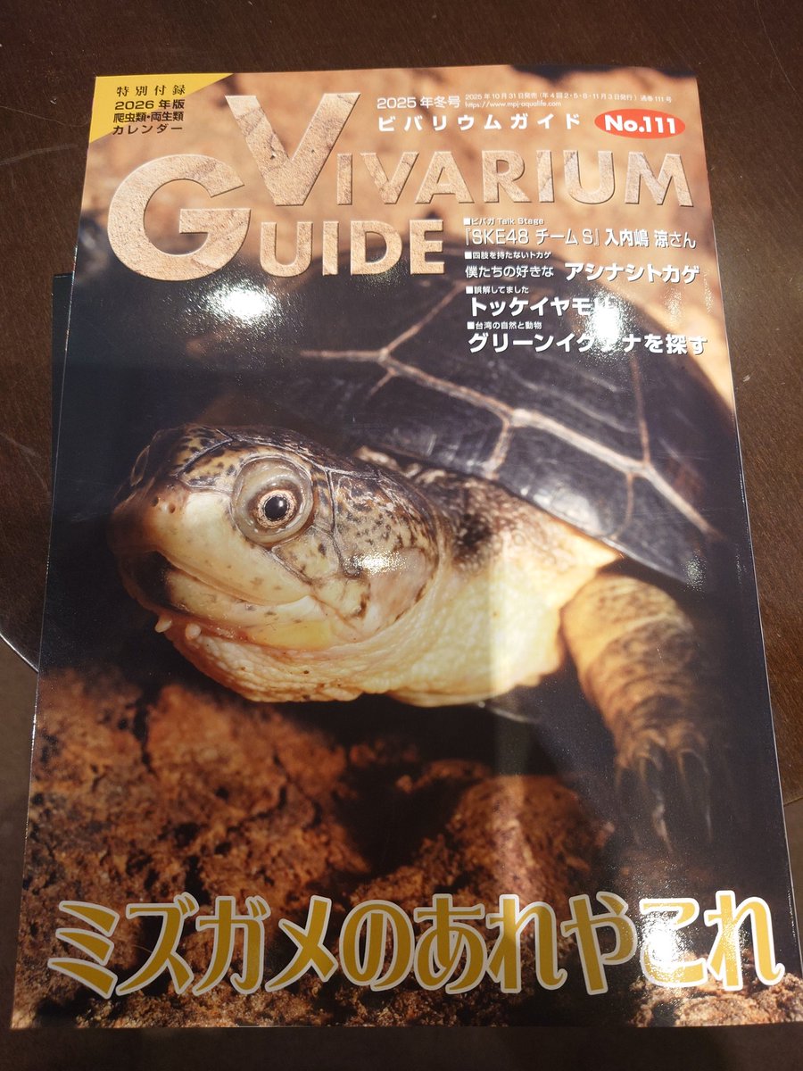 【ふぐ】ビバリウムガイド20冊セット ふぐ】ビバリウムガイド20冊セット ふぐ様専用】ビバリウムガイド20冊
