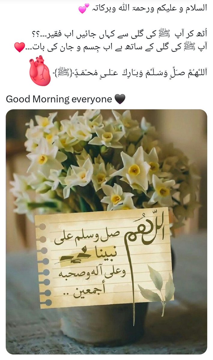 Ahmed jan (@saima_syed19789) on Twitter photo 