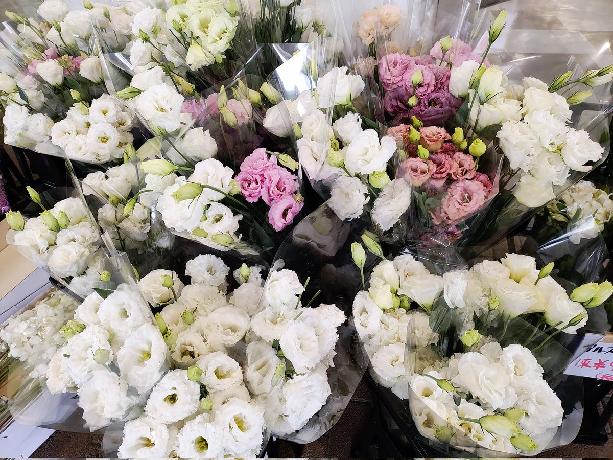 お花III(二連花) ❁102〜111 お花III(二連花) ❁102〜111 ワールドフラワー大和店 on X