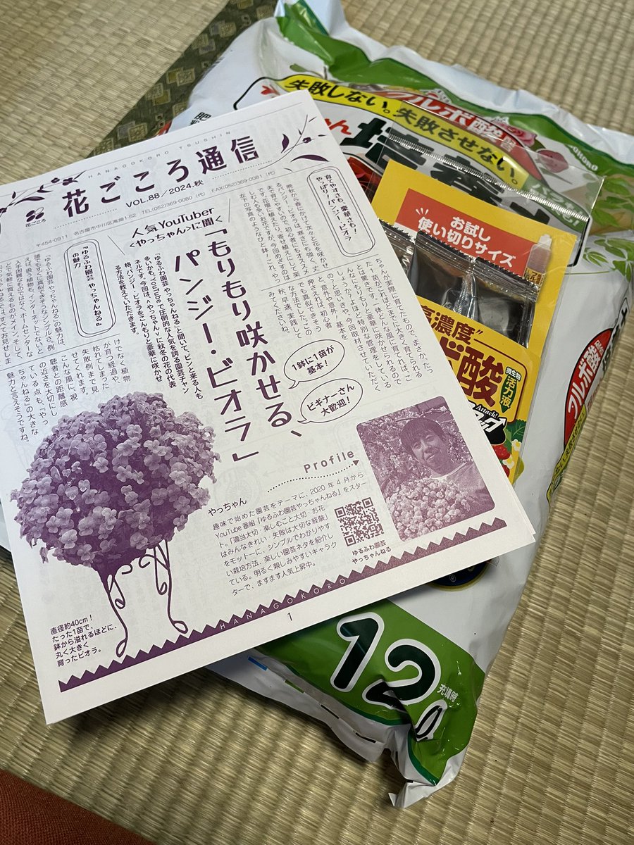 ひ̆̈に̊̈ゃ̂に̊̈ゃ̂ on X