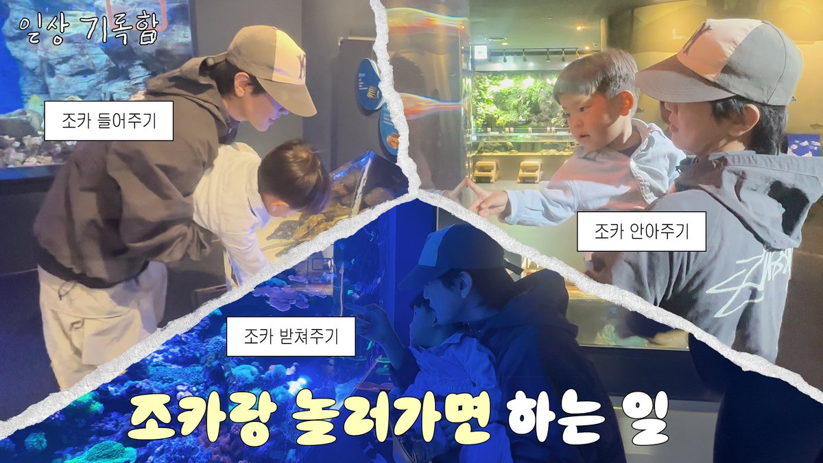 #일상기록함 
뭐할까?명령하지마라아쿠아리움갈거다🐠

🔗 youtu.be/NTRS1w8Tb6c 

#LEEJIHAM #이지함 #Easyham #ジハム