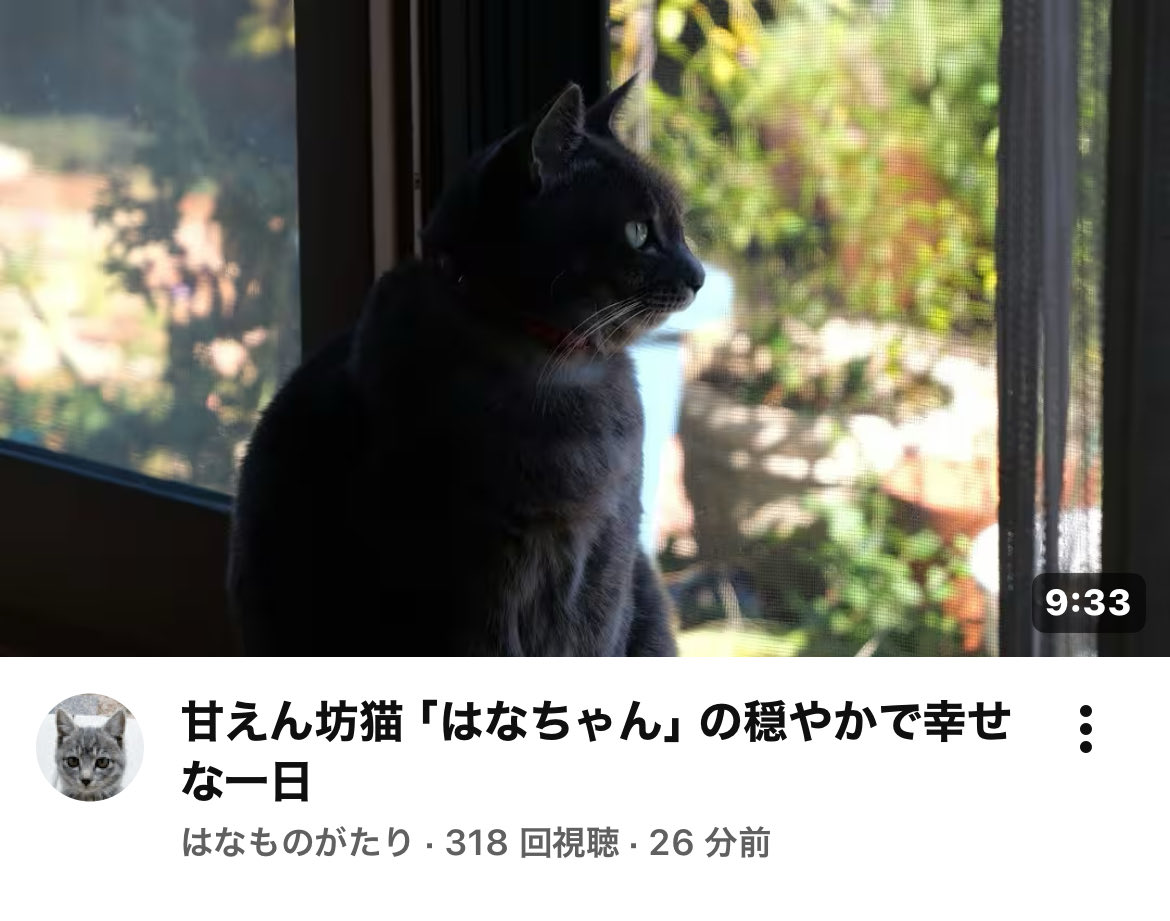 ちょこぼんや様3点お纏め９月３日までお取り置き☆ありがとうございます☆彡 三つ葉ちょこ🍫 (@osanpo_choco) / Posts / X