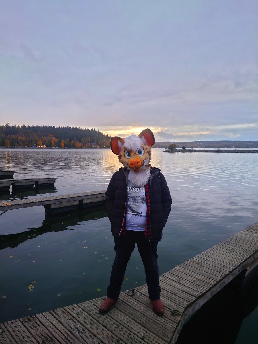 It's #FursuitFriday again! 
When the days are getting shorter and colder, don't forget to take good care of yourself ❤️ 

🖼️ <a href="/TheDoggyStylez/">Doggy Stylez</a>