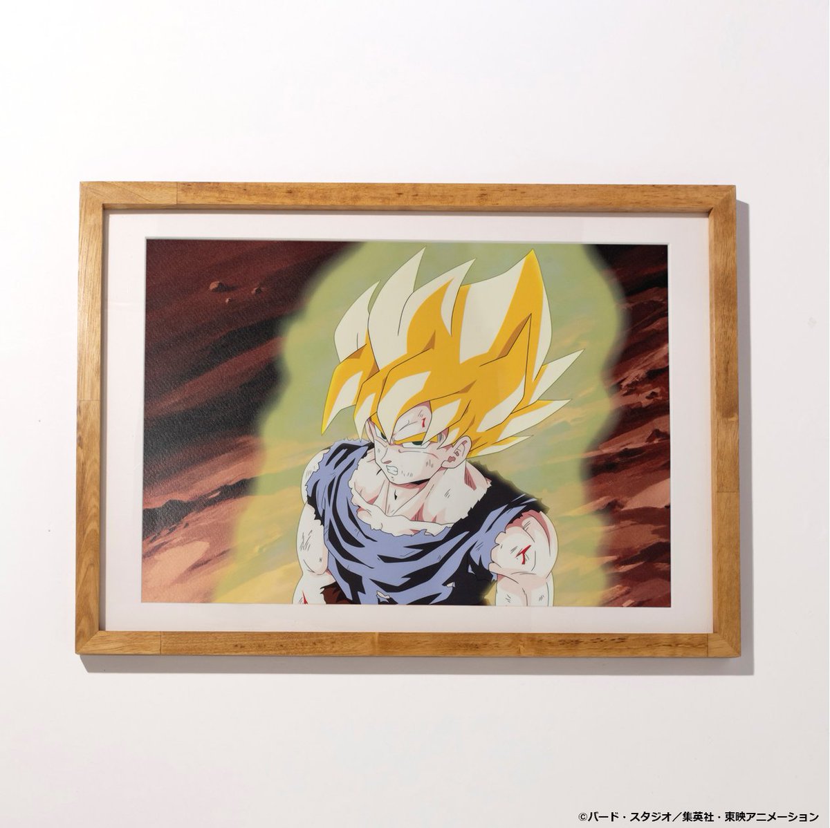 DRAGON BALL STORE TOKYO on X