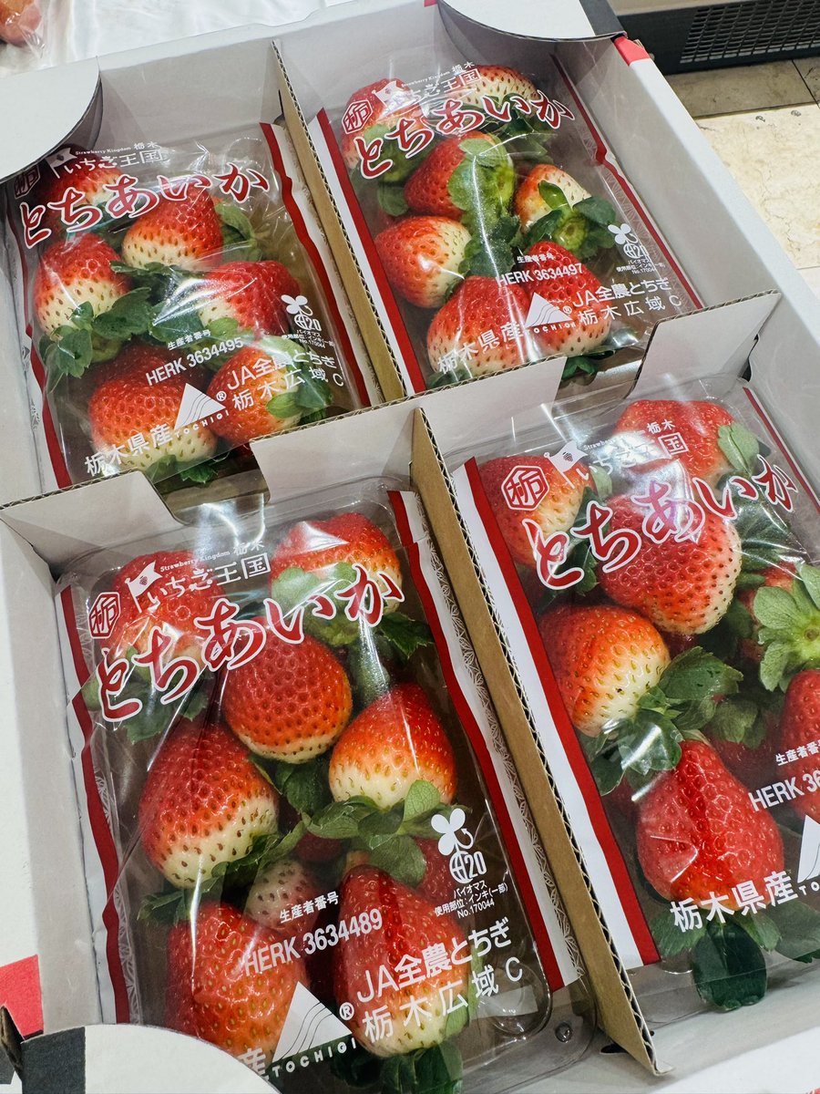 専用ページ  やおやおぱー様 光 ～八百屋のお兄さん21年目突入～ on X