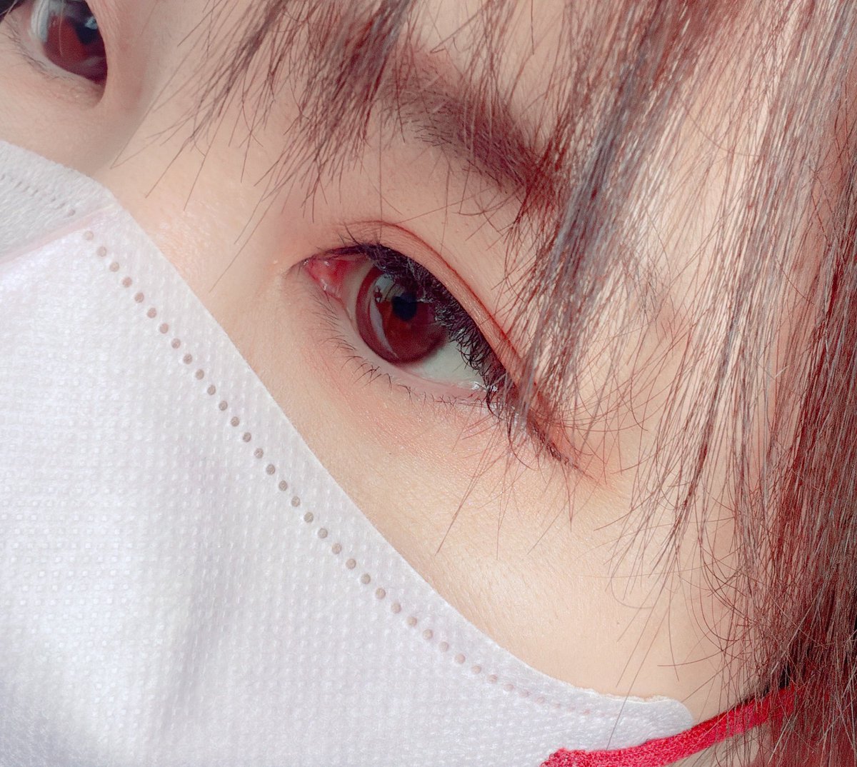 にゃんころげ にゃんころげ (@nyankoroge55) / Posts / X