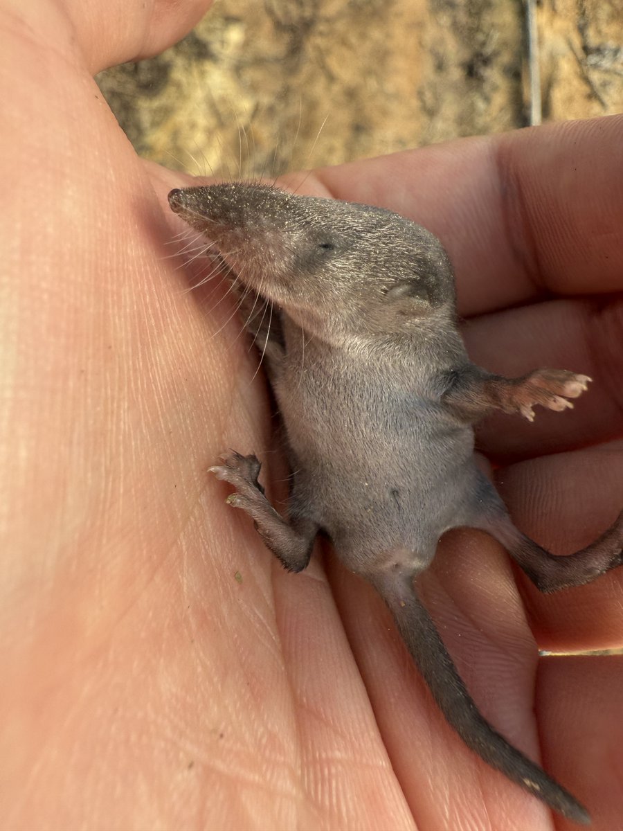 흉터 있는 만화 캐릭터 중에 누구 제일 좋아? : r/cartoons, image size:900x1200