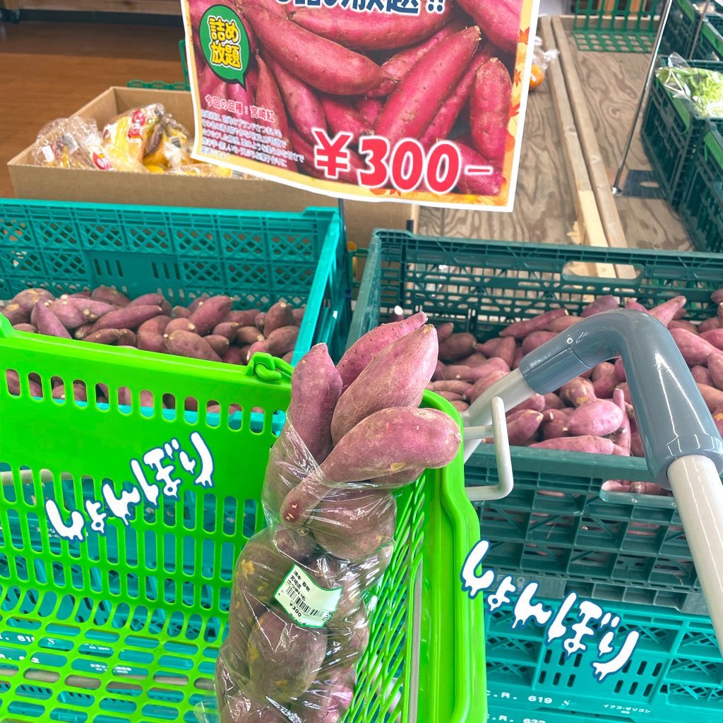 あかやん！！！！ on X