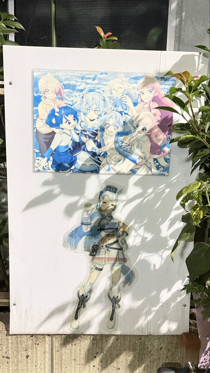 this was nailed to the fence outside someones house