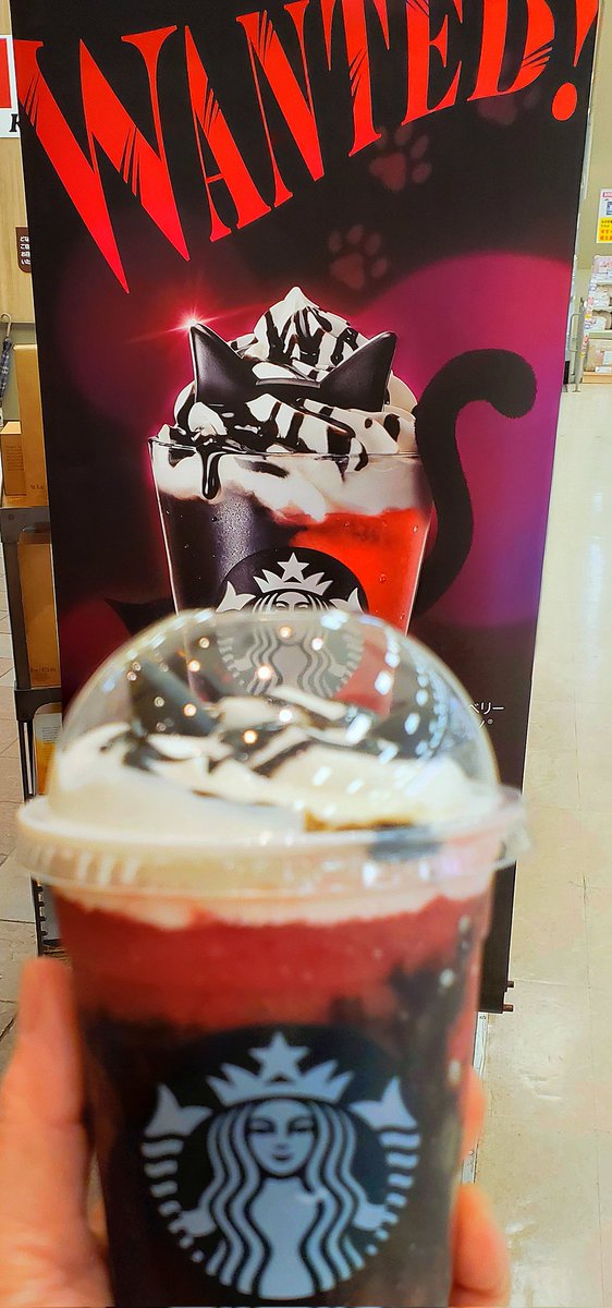 ねこまんま ᓚᘏᗢ (@oziozi5151) / Posts / X