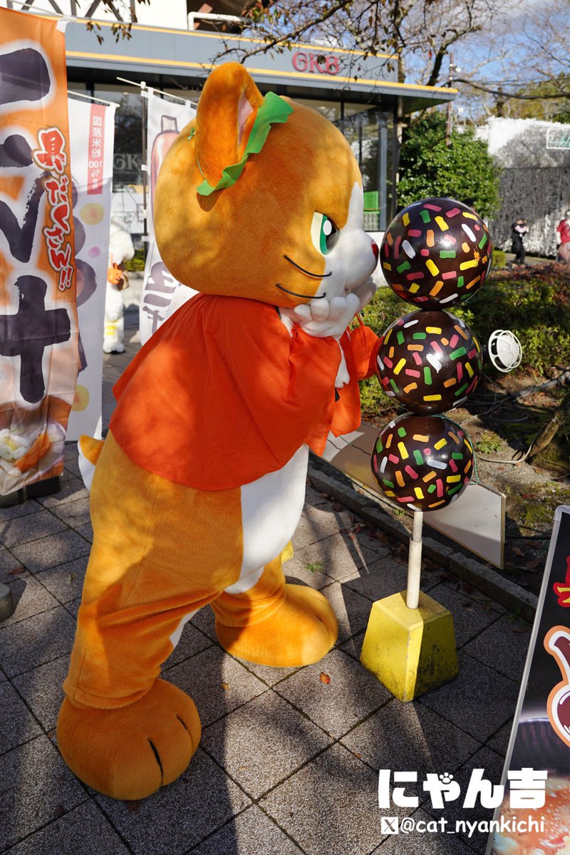 にゃんちよページ にゃん吉【公式】Nyankichi (@cat_nyankichi) / Posts / X