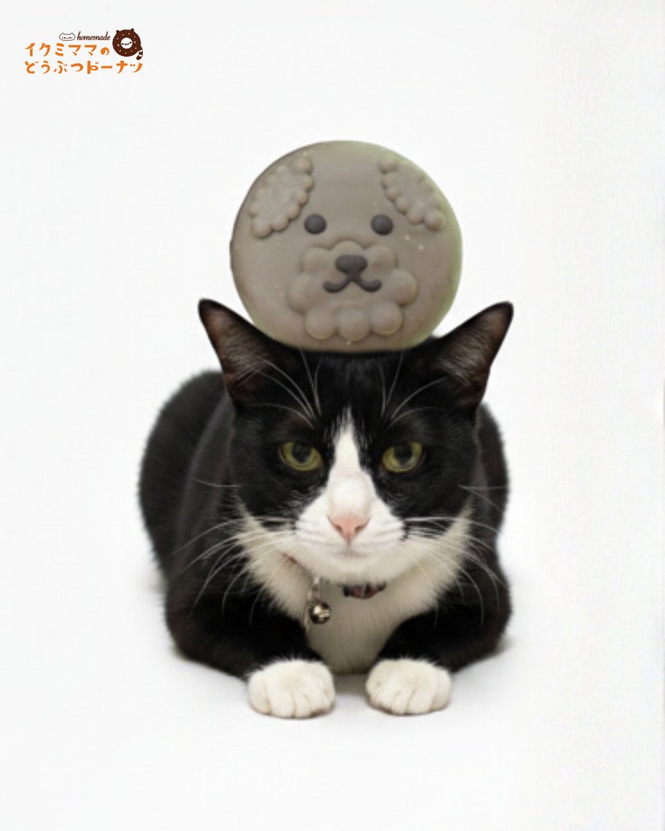 イクミママのどうぶつドーナツ！《公式》 on X