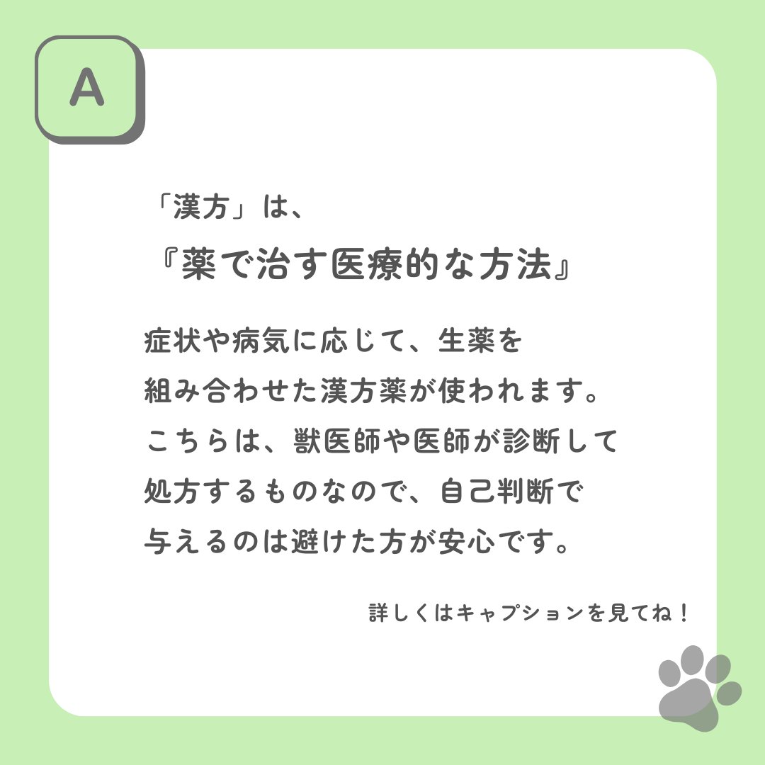 wankodashi's tweet image. 🐶教えて！梅原先生🐾Vol.3

「薬膳と漢方って同じ？」って思ったことある？🤔
実はちがうんやで！
🌿薬膳＝食で整える日常ケア
🌿漢方＝薬で治す医療方法

わんこの薬膳は「その子に合わせる」がポイント✨
毎日のごはんに、ちょっとずつ取り入れてみよ🐕💛
#わんこだし #犬の薬膳 #ペットの健康