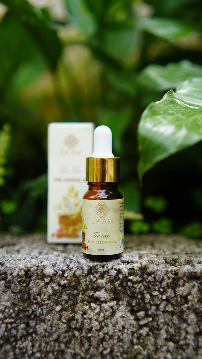 ekamonline's tweet image. Air: Cleansed. 
Mood: Cleared.

#TeaTree’s herbal crispness restores what clutter takes away.

Refresh your space. Refocus your mind. 🌿

#FeelGoodWithEKAM #essentialoil