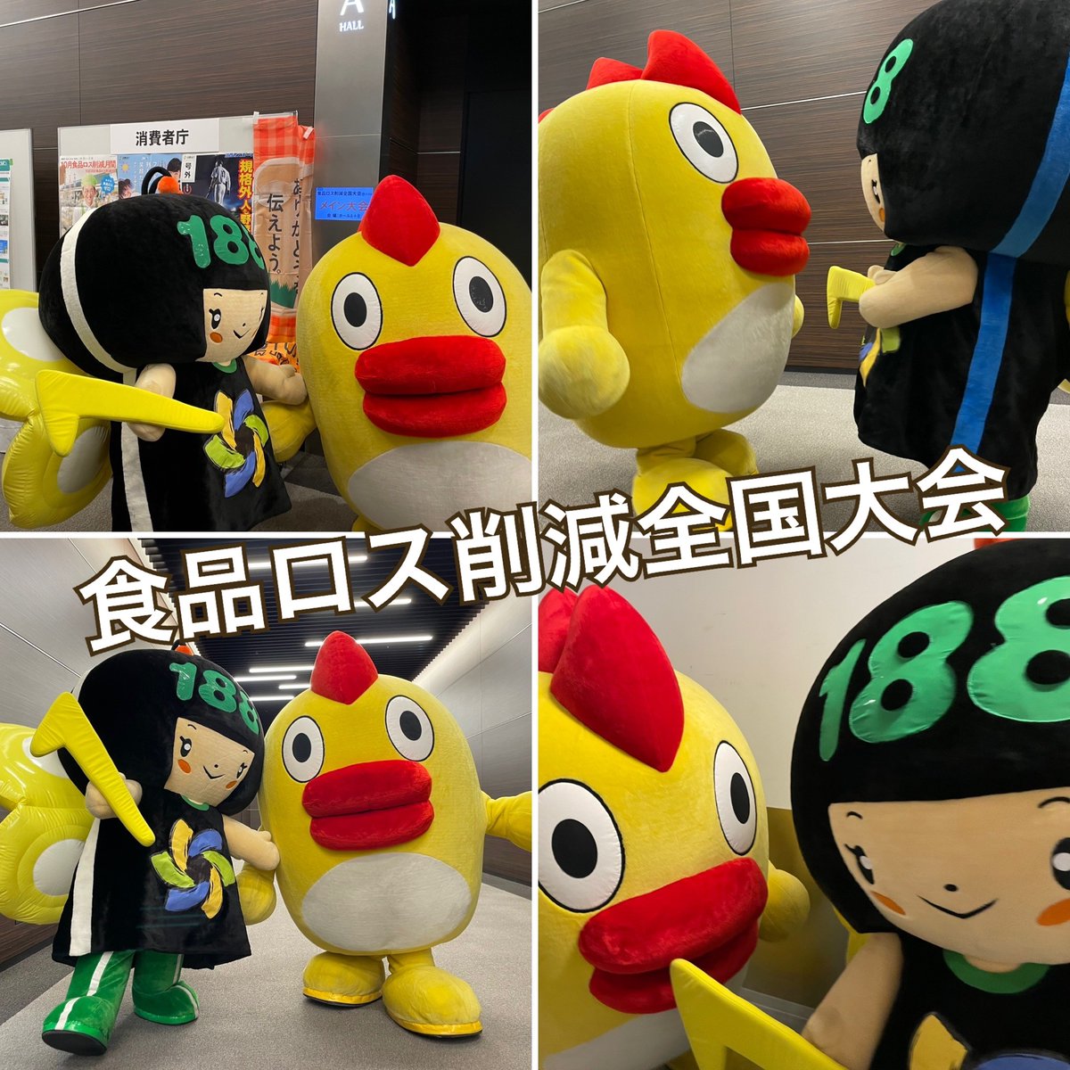 そらジロー IBARAKI DREAM LAND on X: 