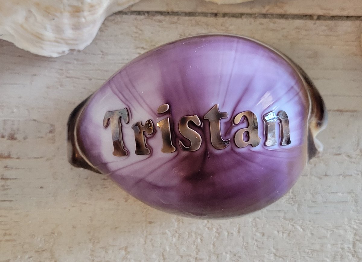 SayItOnAshell's tweet image. This engraved shell found its new home in Shenley Church End, Milton Keynes, England. How cool is that? 🐚🇬🇧 🇺🇸✨

Thank you!
SayItOnAShell.com

#SayItOnAShell #MadeInTheUSA #EngravedShells #ShellArt #ShenleyChurchEnd #MiltonKeynes