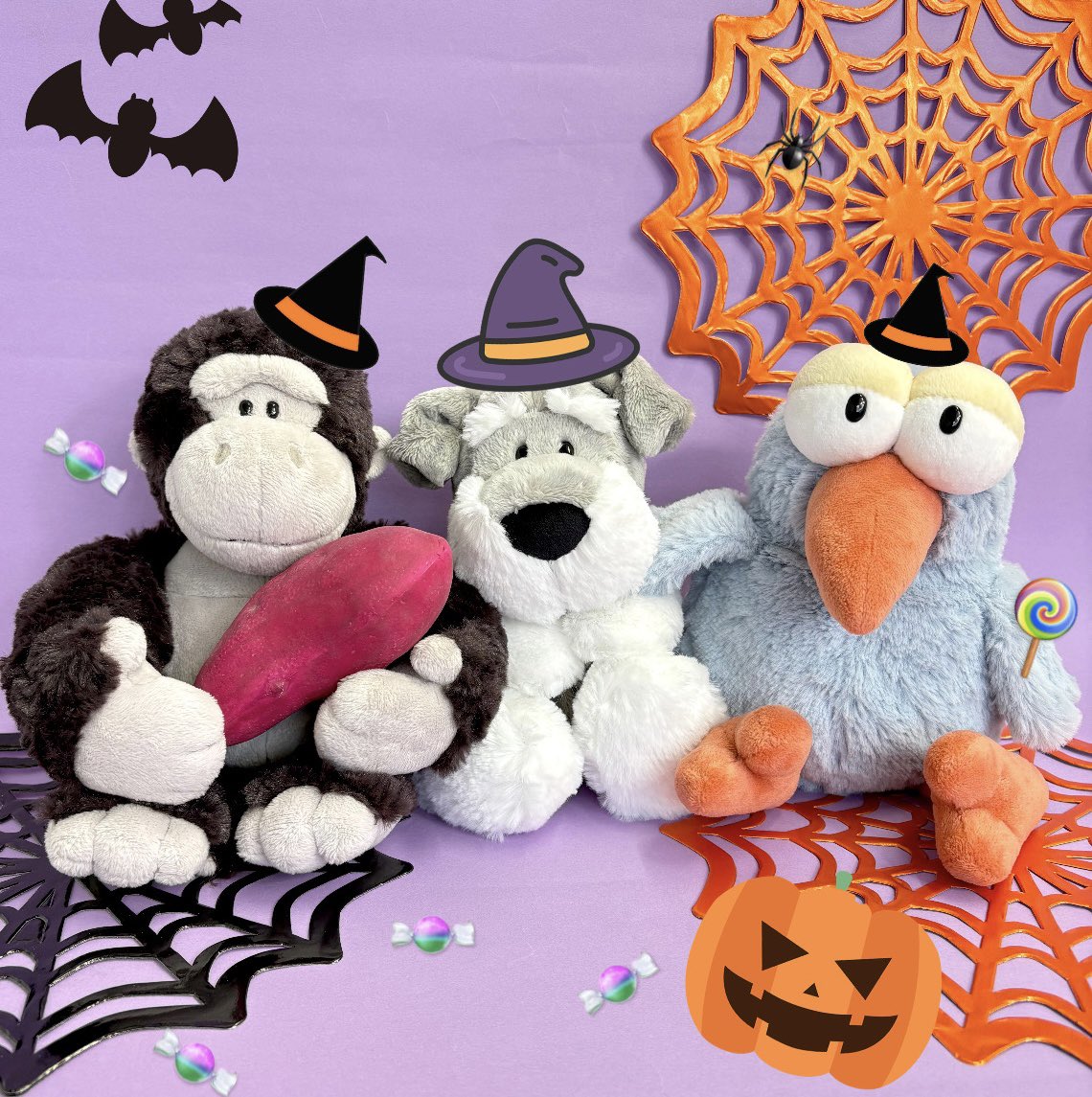 NICI JAPAN【公式】 (@NICIJAPAN) / Posts / X