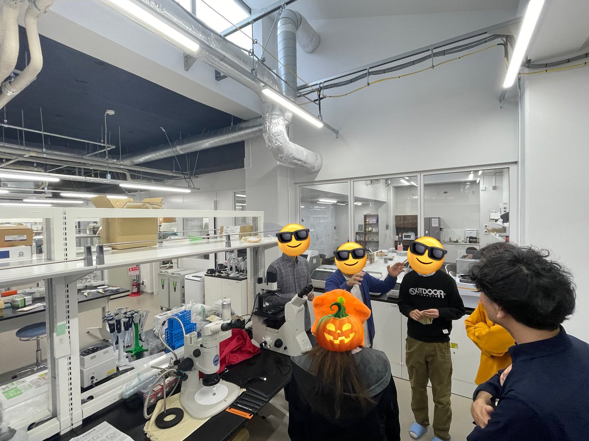 先週のnjm先生のご訪問を皮切りに、今週は先客万来でした！

医学部、理学部、未来工学部から先生方と🎃お化けをお招きしてラボ見学をしていただきました。

ハロウィンですしね笑

共同研究を含めて今後ともよろしくお願い申し上げます🙇‍♂️

#北里大学
#グリーン環境創成科学科
#生物機能開発学研究室